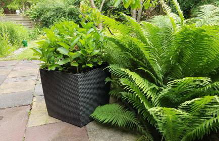 Stadtnahe Wohnung mit Garten und Parkplatz - Photo 13