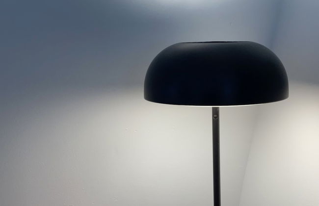 The Loft at Charlotte's Rose - Photo 6