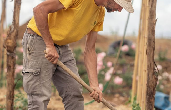 Mastrojanni Relais - Photo 47