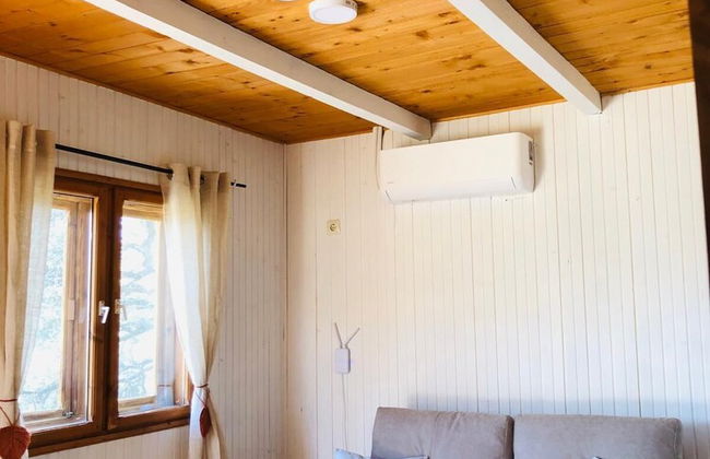 Hamlet's Friends - Foto 41