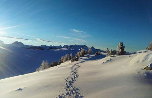Les Alisiers - Foto 28