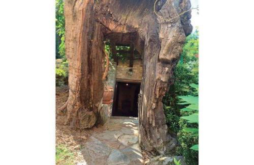 Casa Do Rivera - Foto 47