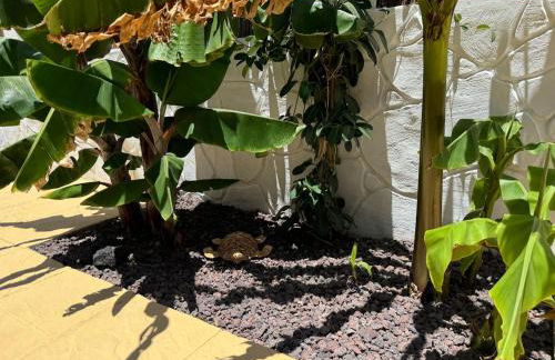 Wonderful holiday home with seaview and jacuzzi - Foto 27