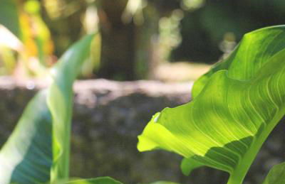 Gerês - Aldeia Turística de Louredo - Foto 58