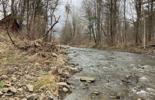 Lakeside Tiny Cozy Retreat - Photo 8