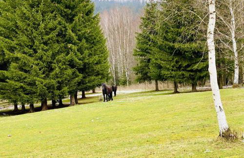 Ferienwohnung Abendsonne - Foto 20