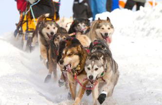 Anchor Town Lodge - Photo 24