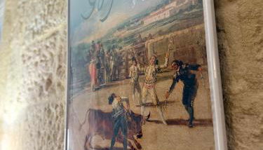 Le Cocon D'Alembert - Foto 2