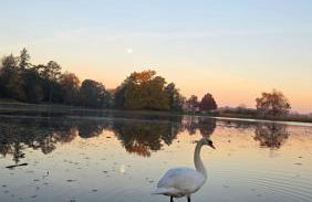Ferien im Gartenrausch - Gönn Dir eine Auszeit im Herzen von Wörlitz - Foto 18
