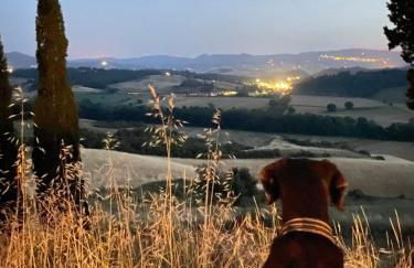 Agriturismo I Moricci - Foto 10