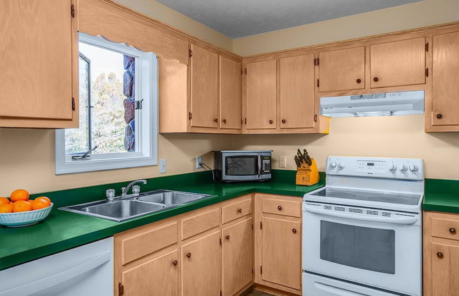 Love Ridge Mountain Lodging - Foto 50