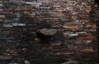 Casa da Ferreira_Vila Real - Foto 14