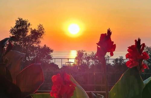 Loukia's Studios and Apartments - Foto 11