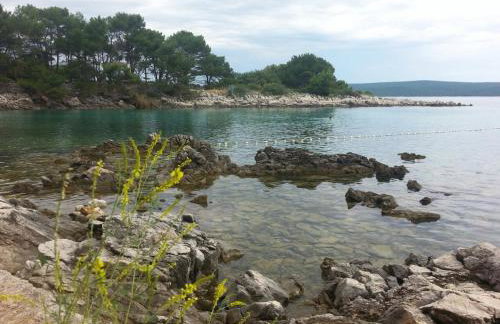 Galboka Nine - Foto 8