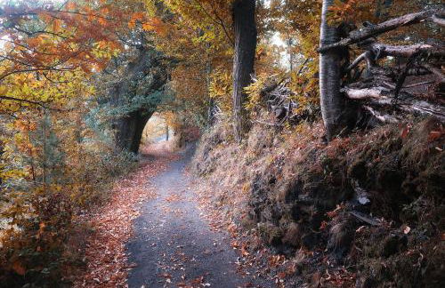 Casa Turismo Rural O FILANDÓN - Foto 50