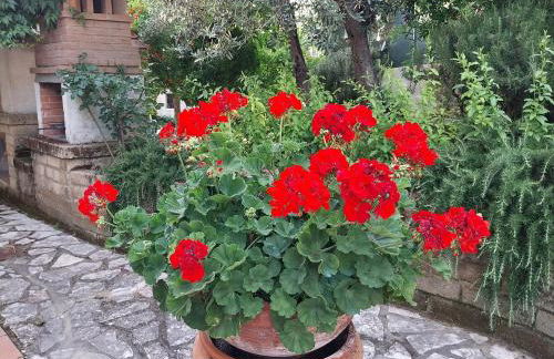 Casa di Giulia (Bambini gratis fino a 6 anni) - Foto 26