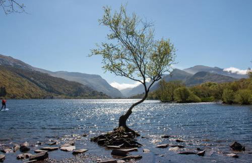 Bay Tree Cottage - Photo 23