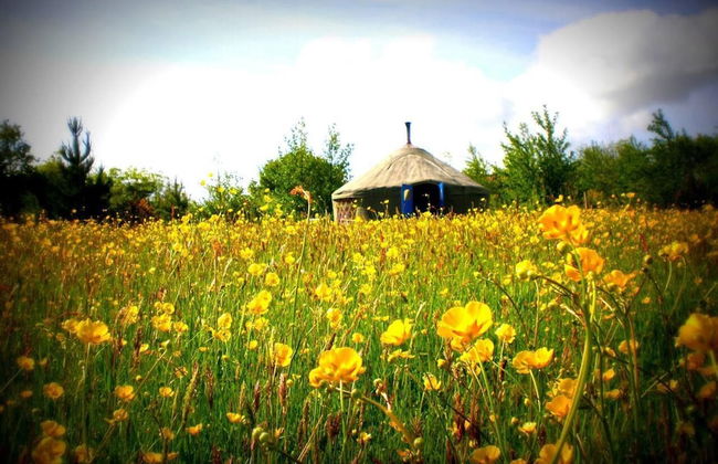 Roundhouse Yurt, Stunning Views, Totnes Dartmouth - Foto 3