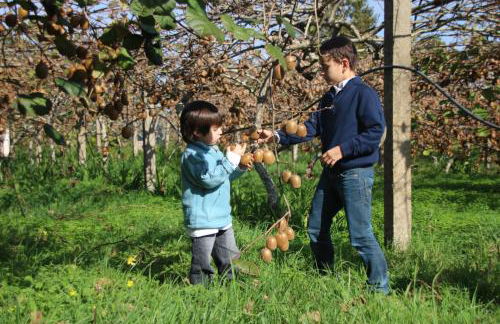 Bio Quinta do Pantano, Agro Turismo - Foto 29