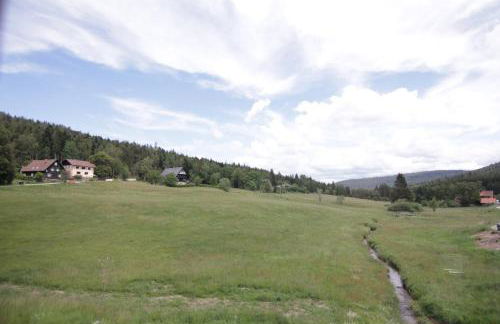 Schöne Ferienwohnung im Nationalpark nördlicher Schwarzwald - Foto 15