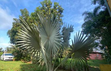 Residencial Sítio Paraíso - Foto 61