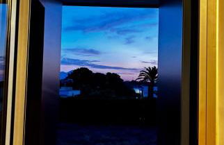 Legendary Lemon - Photo 29