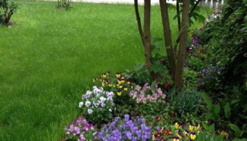 COMME CHEZ SOI - Foto 3