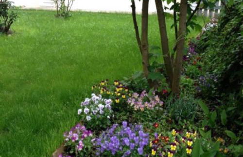 Les Gites Douillets de Sancerre - Foto 24