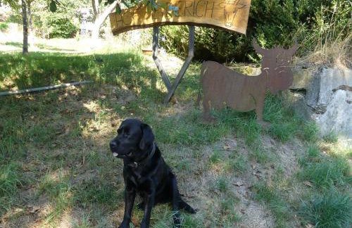 Ferienwohnungen Hof Heiderich - Foto 37