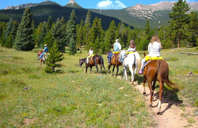 Casa Yolanda - Foto 26