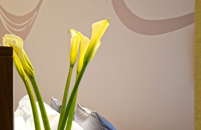 Modena by Fraser New District Wuxi - Foto 6