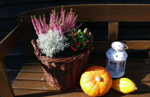 10-Bett Ferienwohnung Sonnenblume - Foto 24