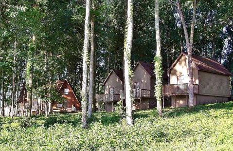 Delightful Vacation Cabins in Mount Juliet near Nashville, Tennessee - Foto 30