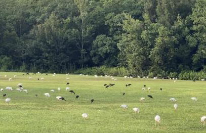 Boutique Stay - Near Beach, PSP4, Billiard or PingPong, Fire Pit, Private Yard - Foto 51