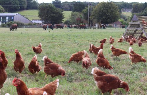 The Anchorage Nables Farm - Foto 40