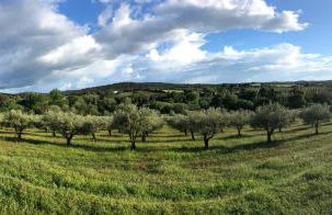 Monte de Stª Margarida - Foto 48