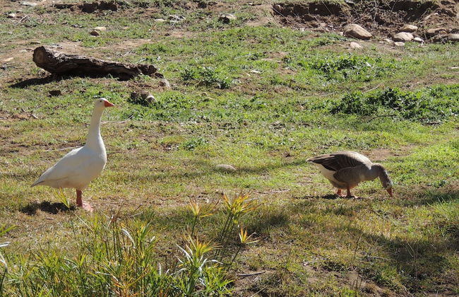 Cango Retreat - Foto 46