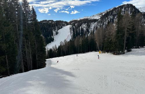 Bellavista Marilleva 1400 - Val di Sole - Foto 23