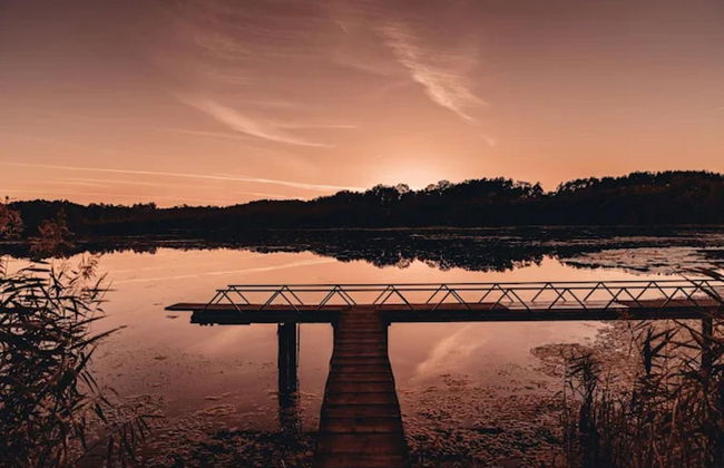 Feriendorf am Weinberg, Dobbrikow - Foto 78