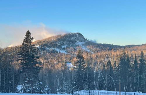 Ski-in Ski-out Townhome at Lutsen Mountain, Pool, Hot Tub, Fitness, Sauna and more! - Foto 43