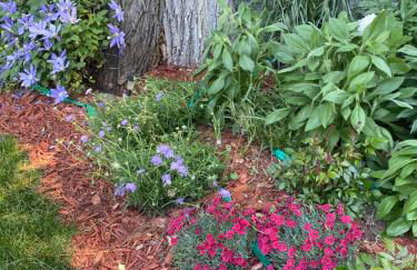 Cozy Cape Cod - Foto 44