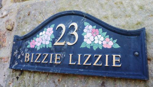 Bizzie Lizzie - Photo 2
