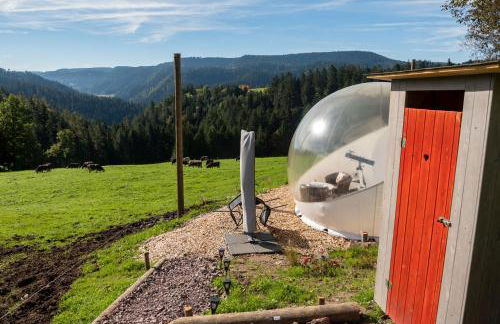 Hansjörgenhof Bioland-Hof - Foto 11