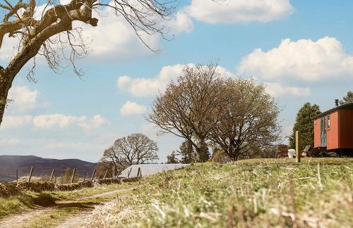 Lapwing Shepherds Hut - Uk7631 - Foto 8