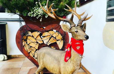 Ferienwohnung Almenrausch mit 110 m2 und sonniger Terrasse - Photo 16