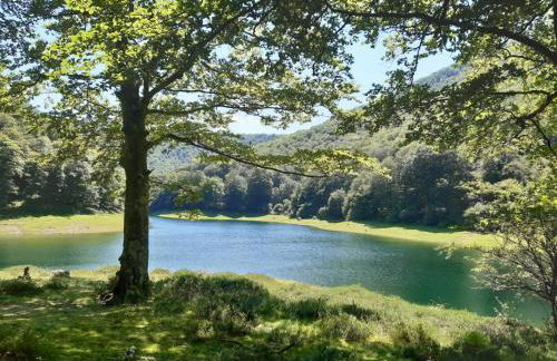 Tresanea Apartamentos - Foto 66