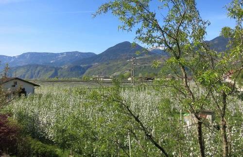 Feldererhof - Foto 53