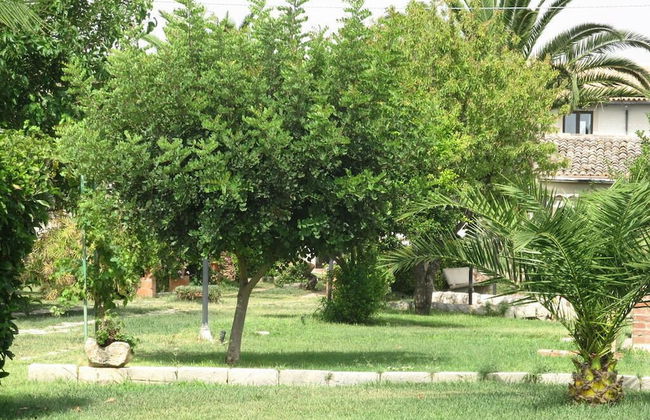 Aranceto Turismo Rurale - Foto 30