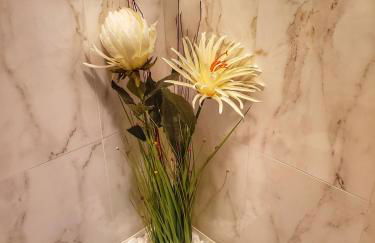 Santiago Sur, Camino Portugués - Foto 15