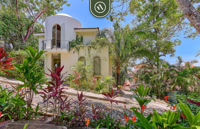 La Japihua in Jalisco - Foto 69